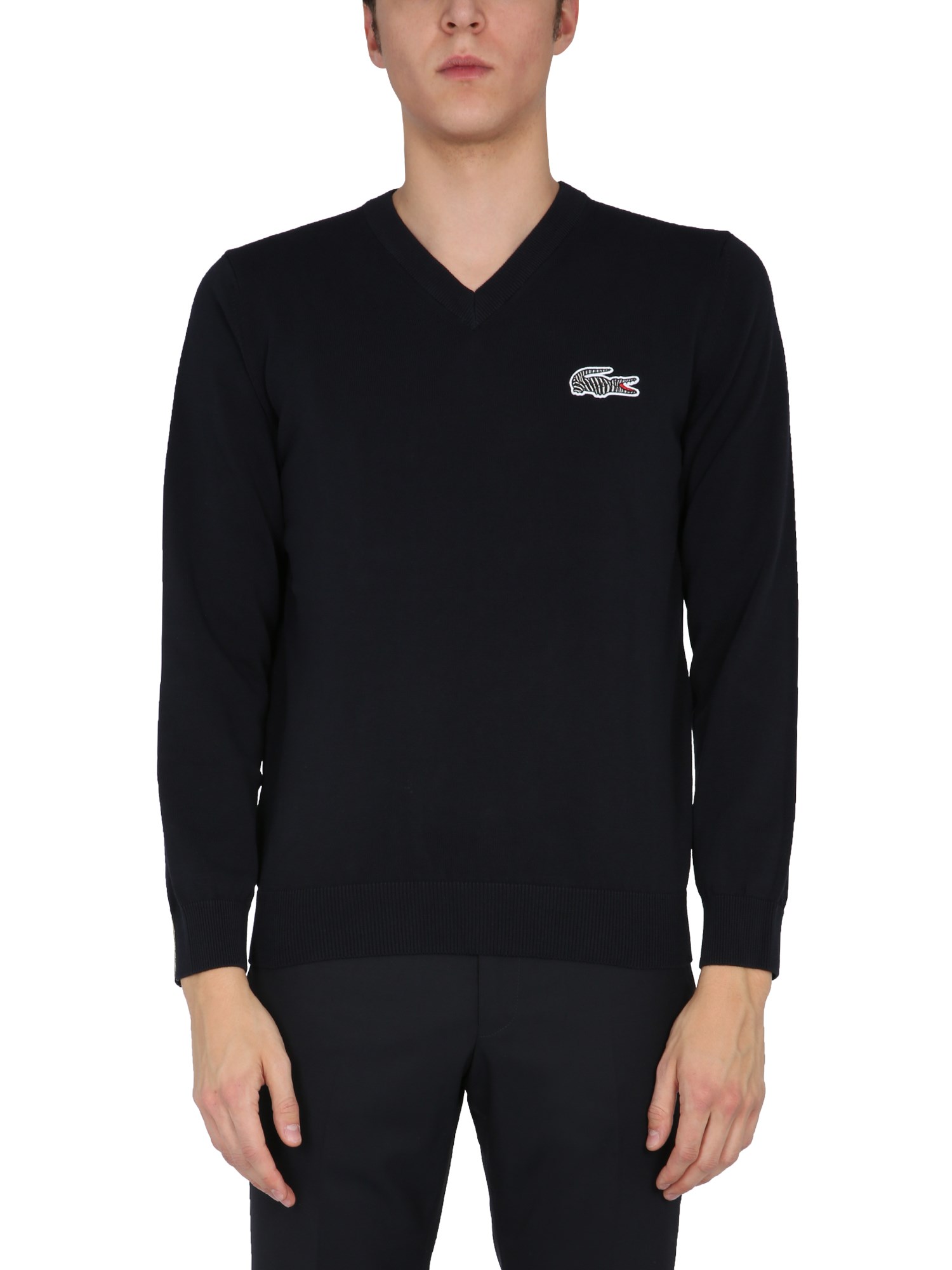 lacoste x national geographic v-neck sweater