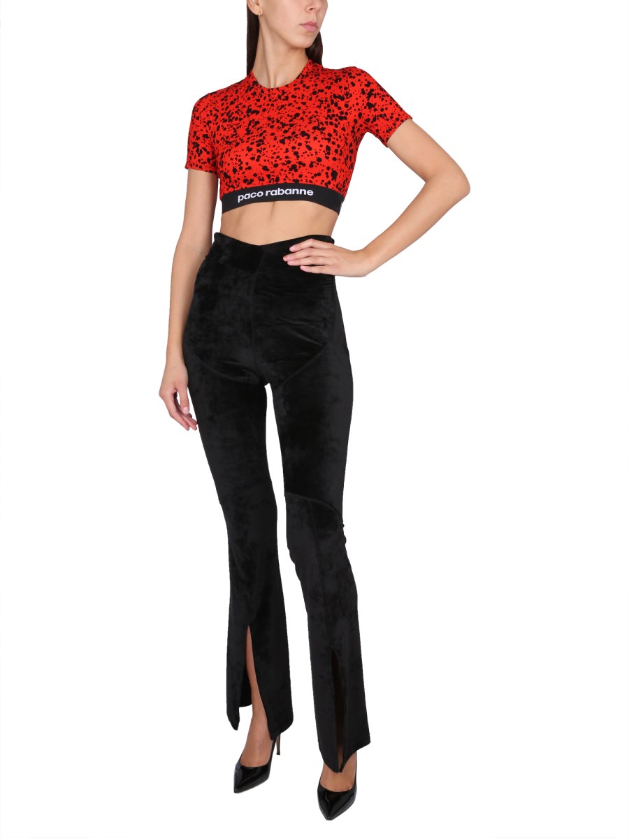 TOP CROPPED