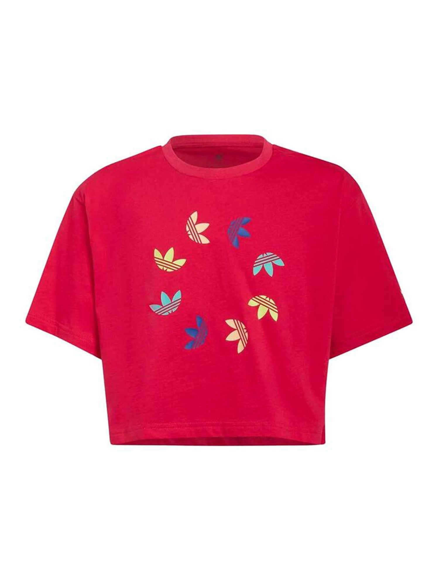 adidas originals cropped t-shirt