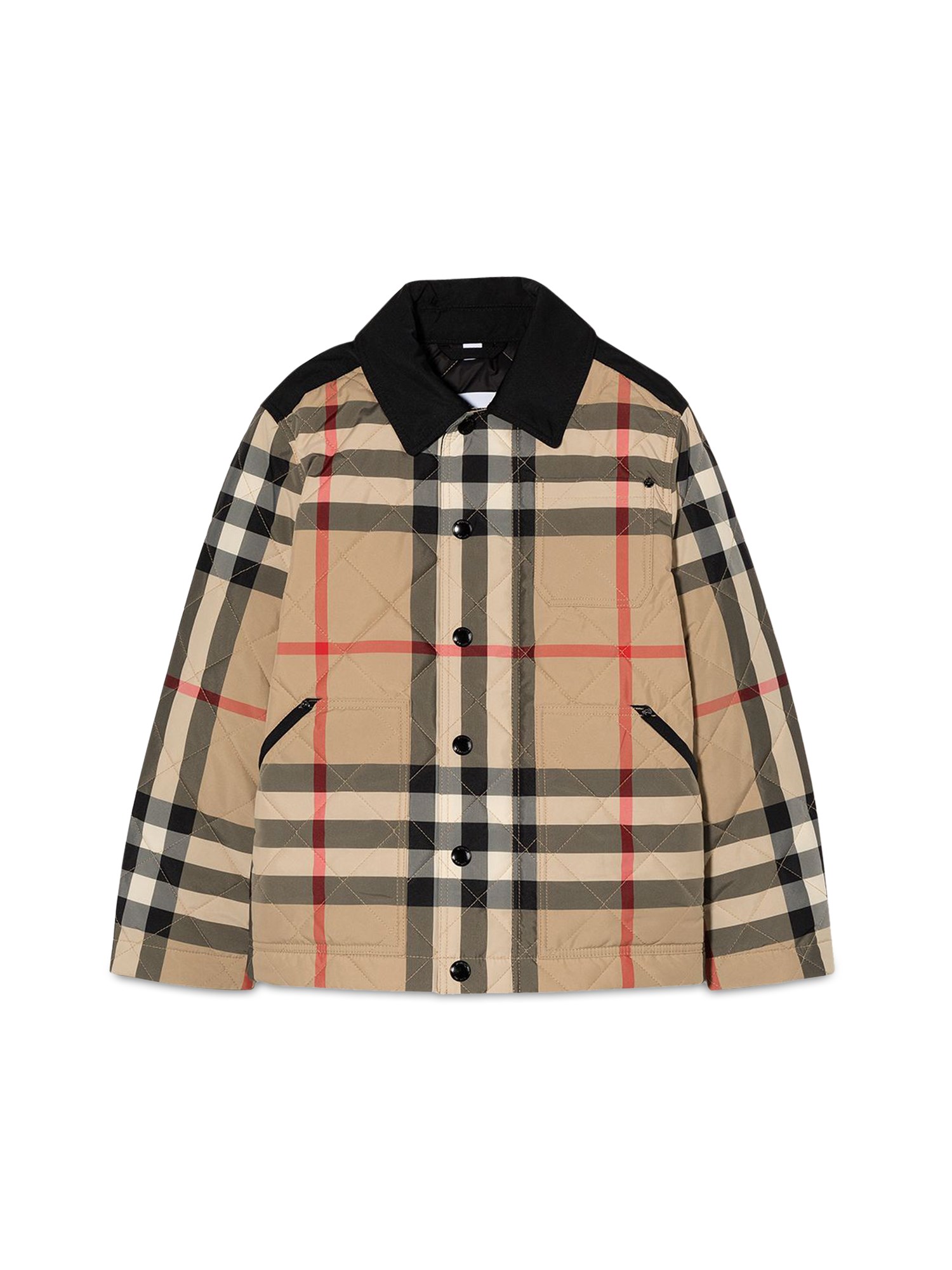 burberry renfred quilts & down