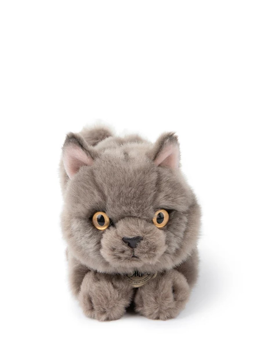 PUPAZZO THE BRITISH SHORTHAIR IN GIFTBOX