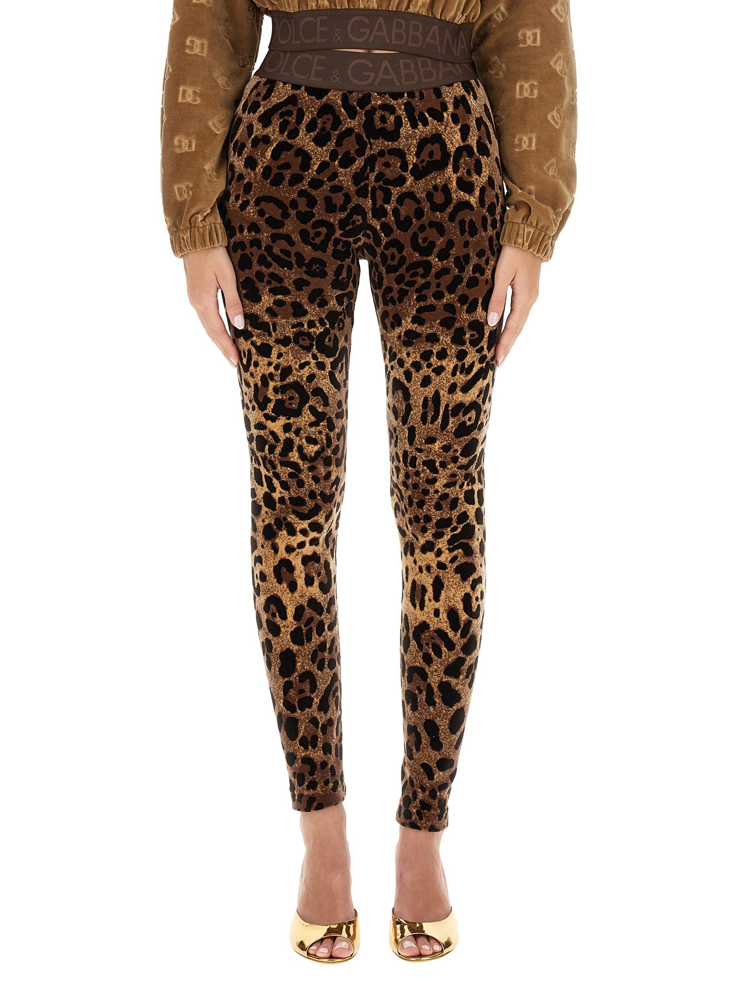 Dolce & Gabbana High Waist Leopard Print Cotton Blend Leggings In Multicolour