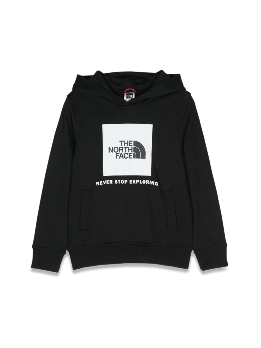 THE NORTH FACE box p/o hoodie