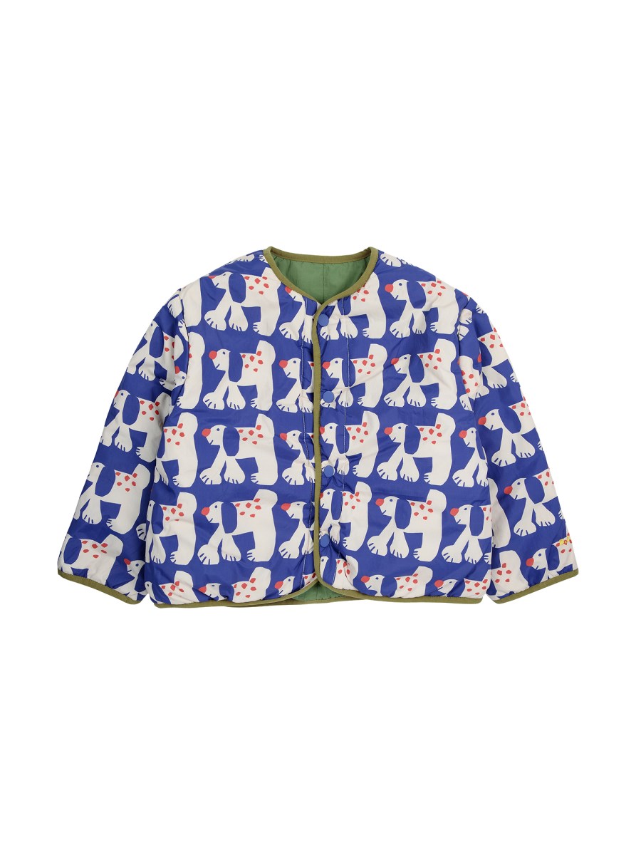 b.c. fairy dog reversible jacket