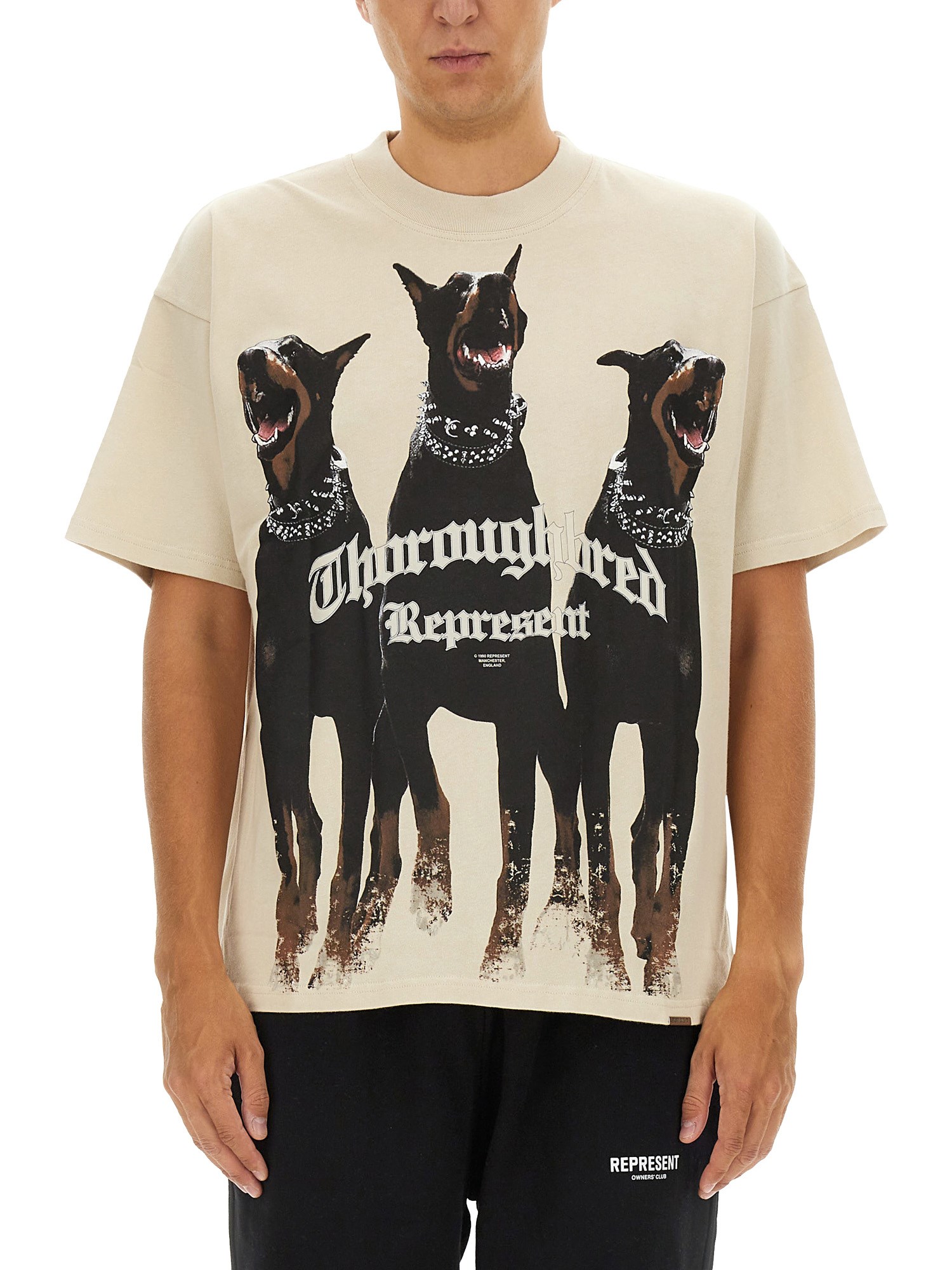 Shop Represent Thoroughbred T-shirt In White