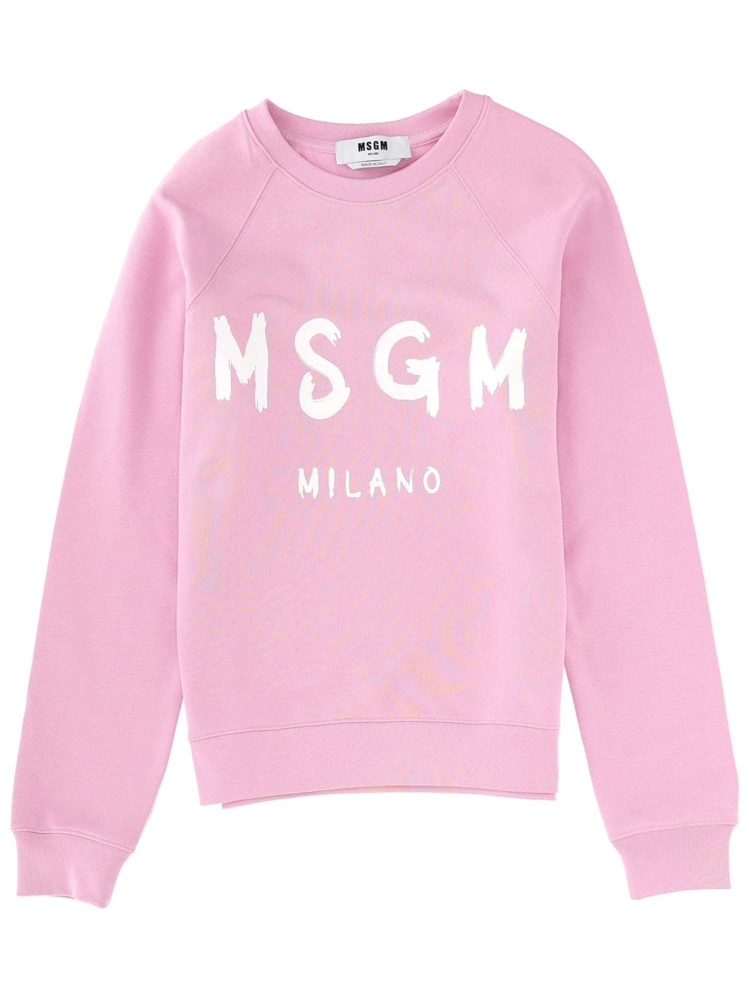 Msgm Sweatshirt With Logo In Animal Print