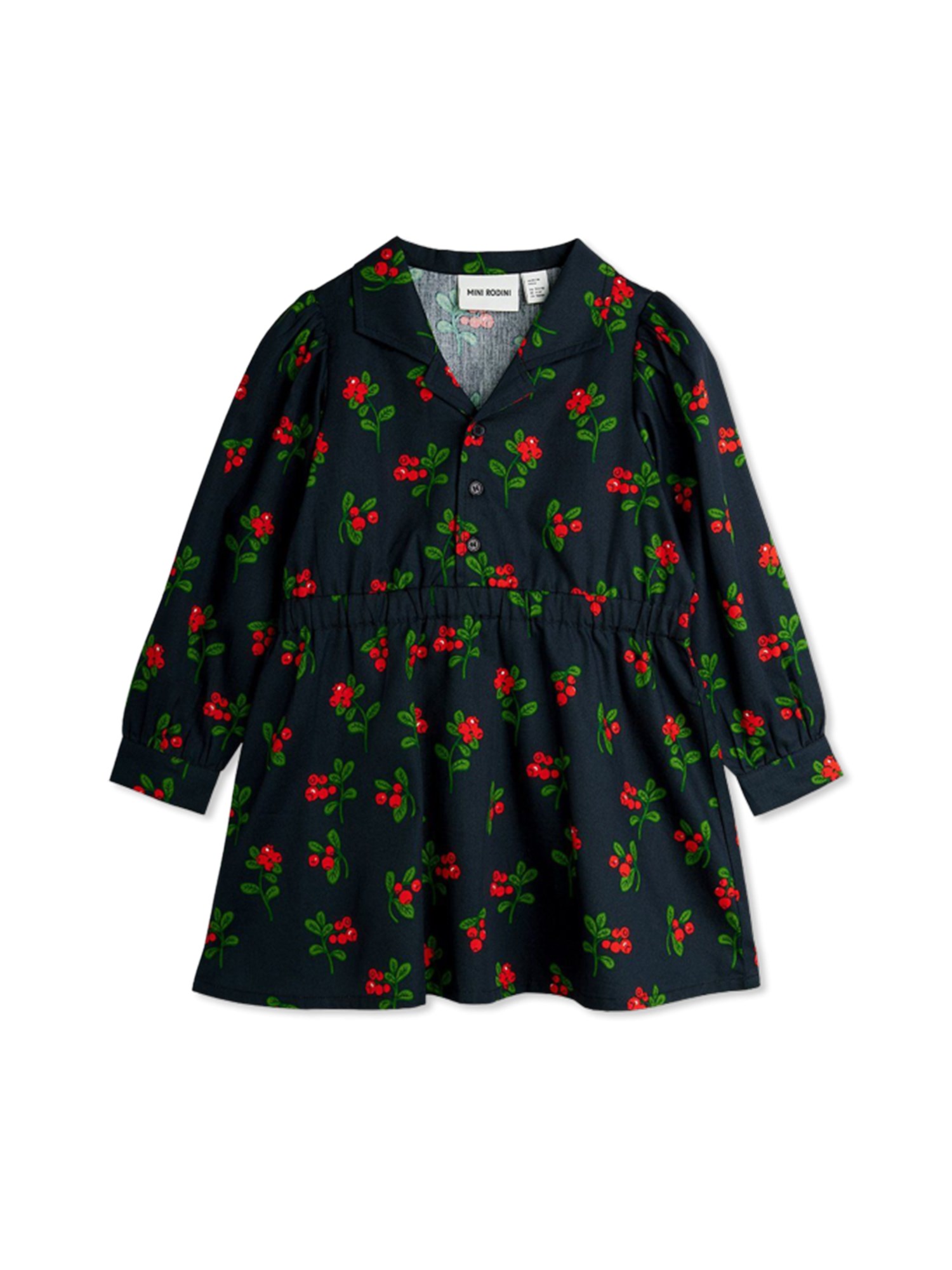 mini rodini dress