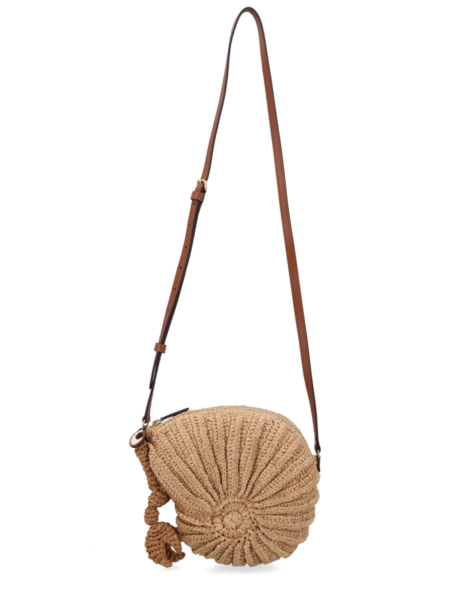 BORSA HERMIT CRAB