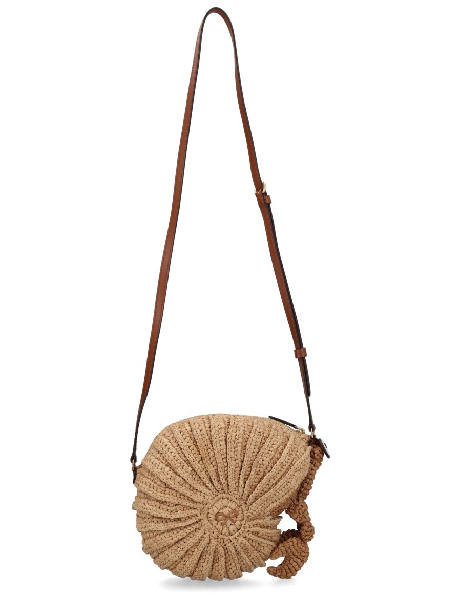 BORSA HERMIT CRAB