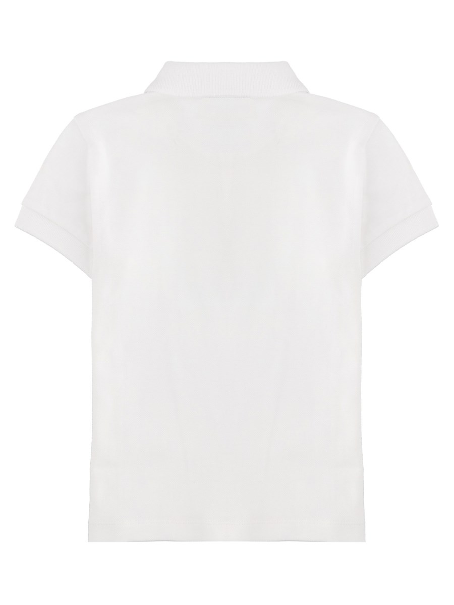 POLO MANICHE CORTE