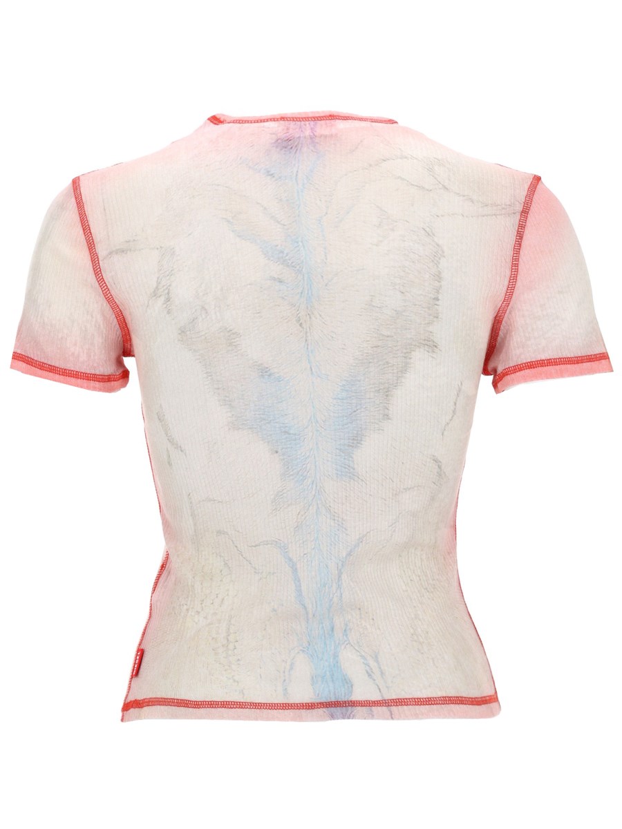 TOP T-IANA