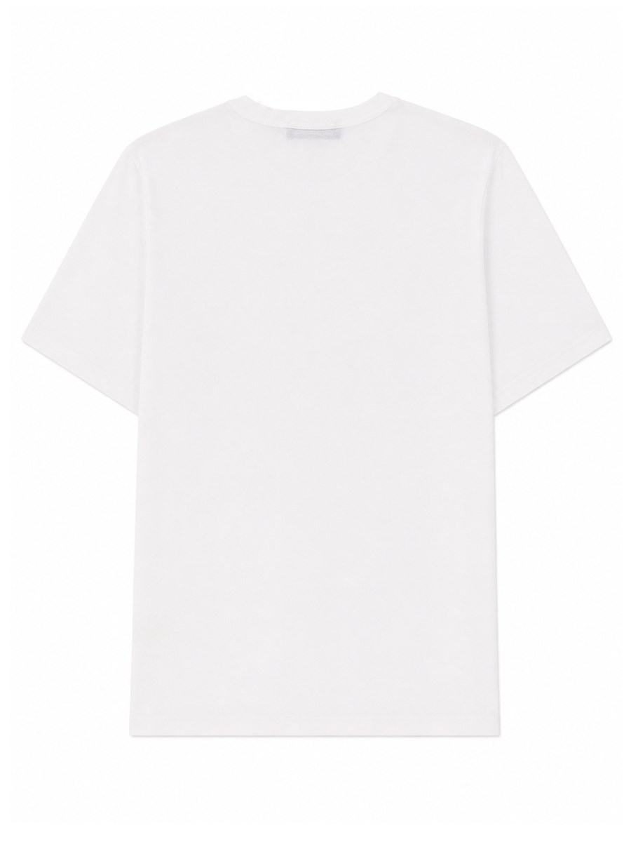 T-SHIRT IN COTONE